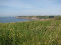 2006 Pointe St Mathieu (1)